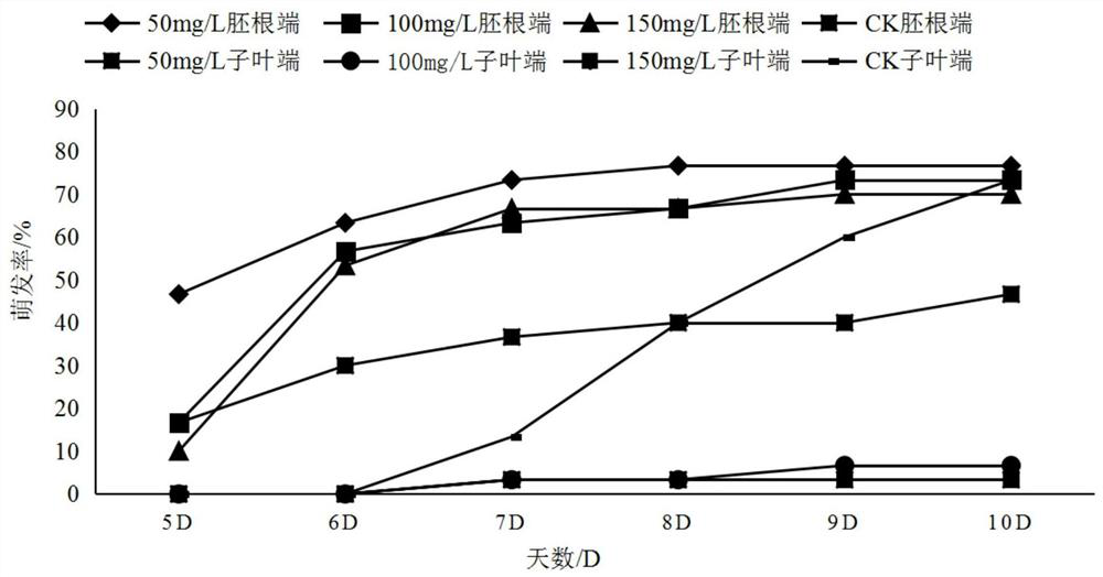 A method for breaking dormancy of giant bauhinia seeds