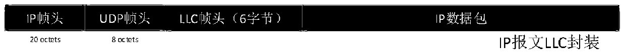 IP transmission method and system based on DTMB