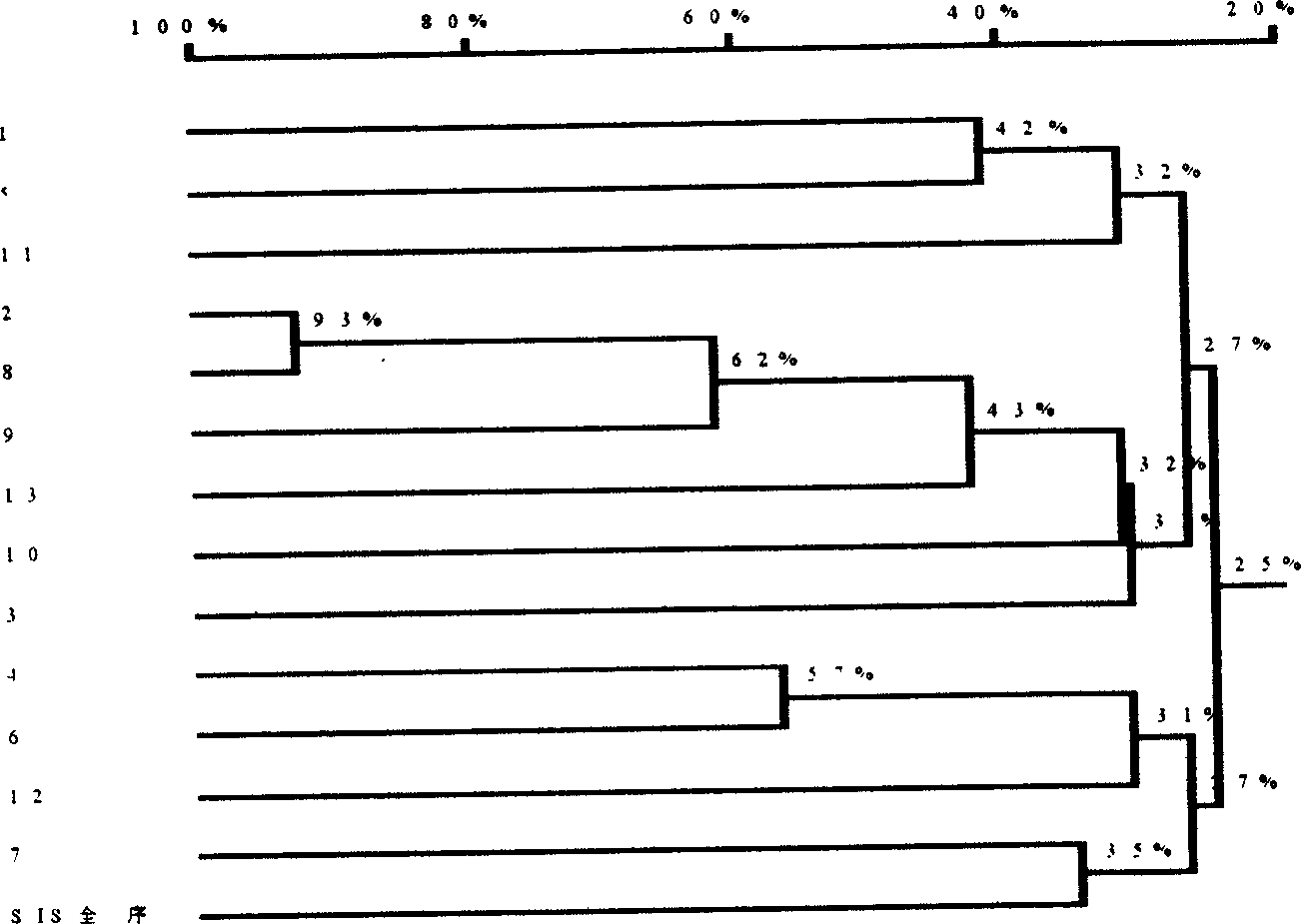 Gene of internal cutting glucanase of Bacillus megatherium and preparation process thereof