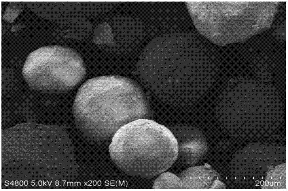 Method for preparing different particle sizes of porous beta-TCP microspheres by oil-in-water type solid emulsification