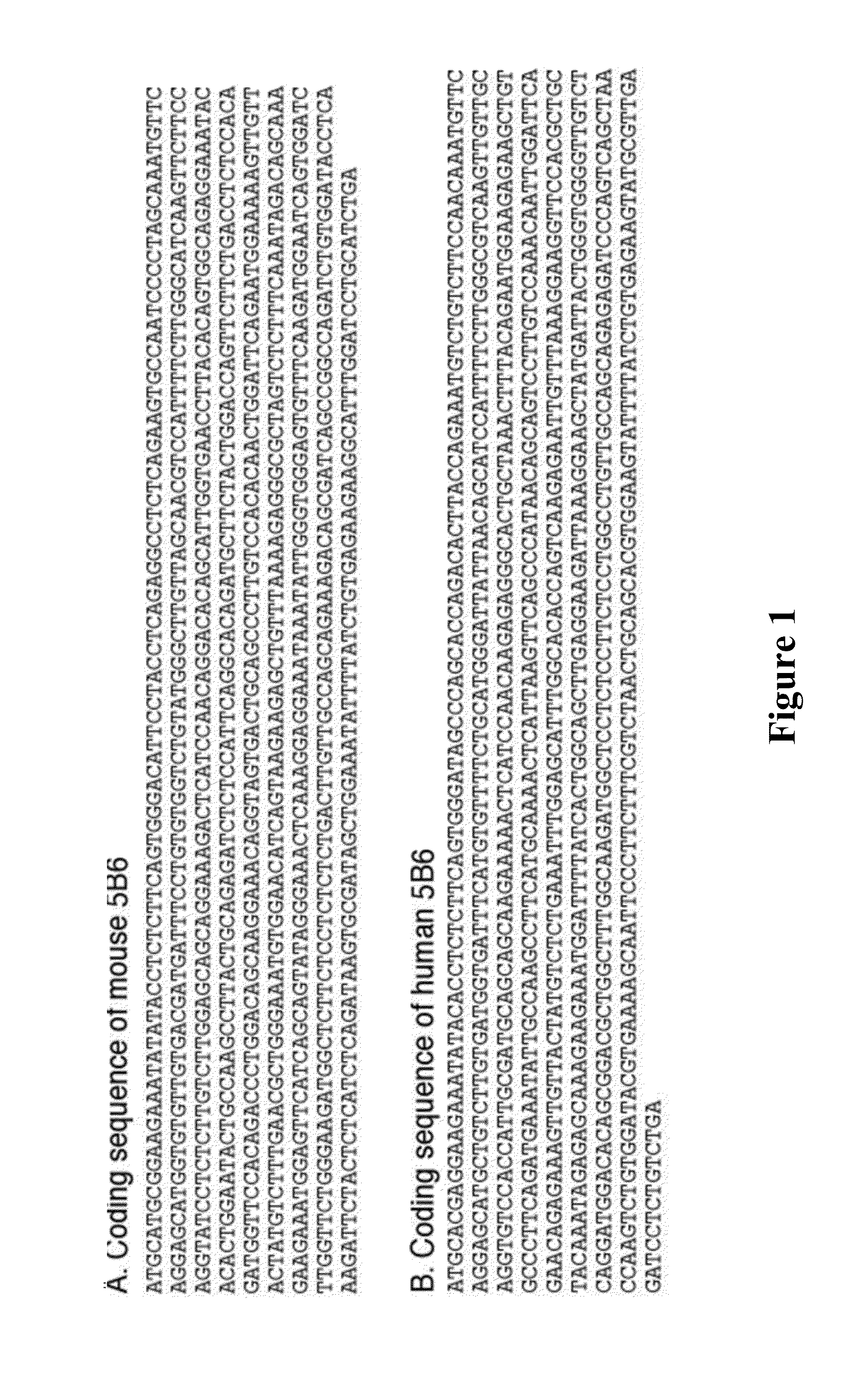 Methods of Detecting Cells with a Disrupted Cell Membrane, Cells Infected with A Pathogen, Dying Cells or Dead Cells