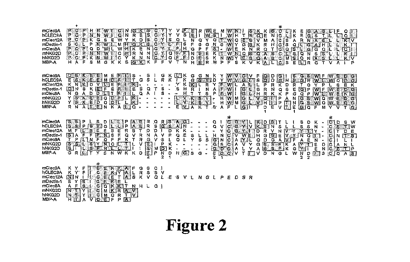 Methods of Detecting Cells with a Disrupted Cell Membrane, Cells Infected with A Pathogen, Dying Cells or Dead Cells