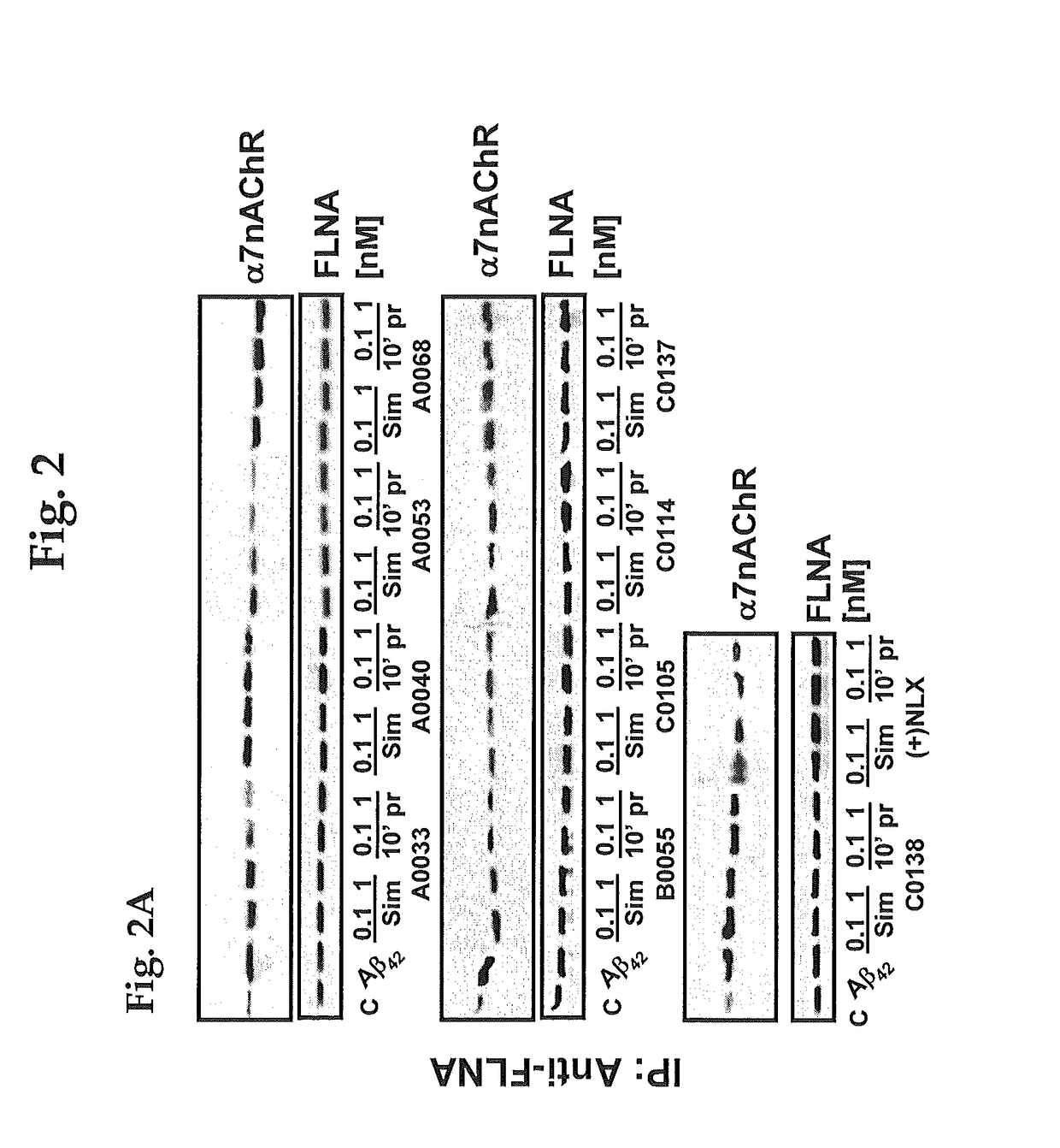 Method of inhibiting tau phosphorylation