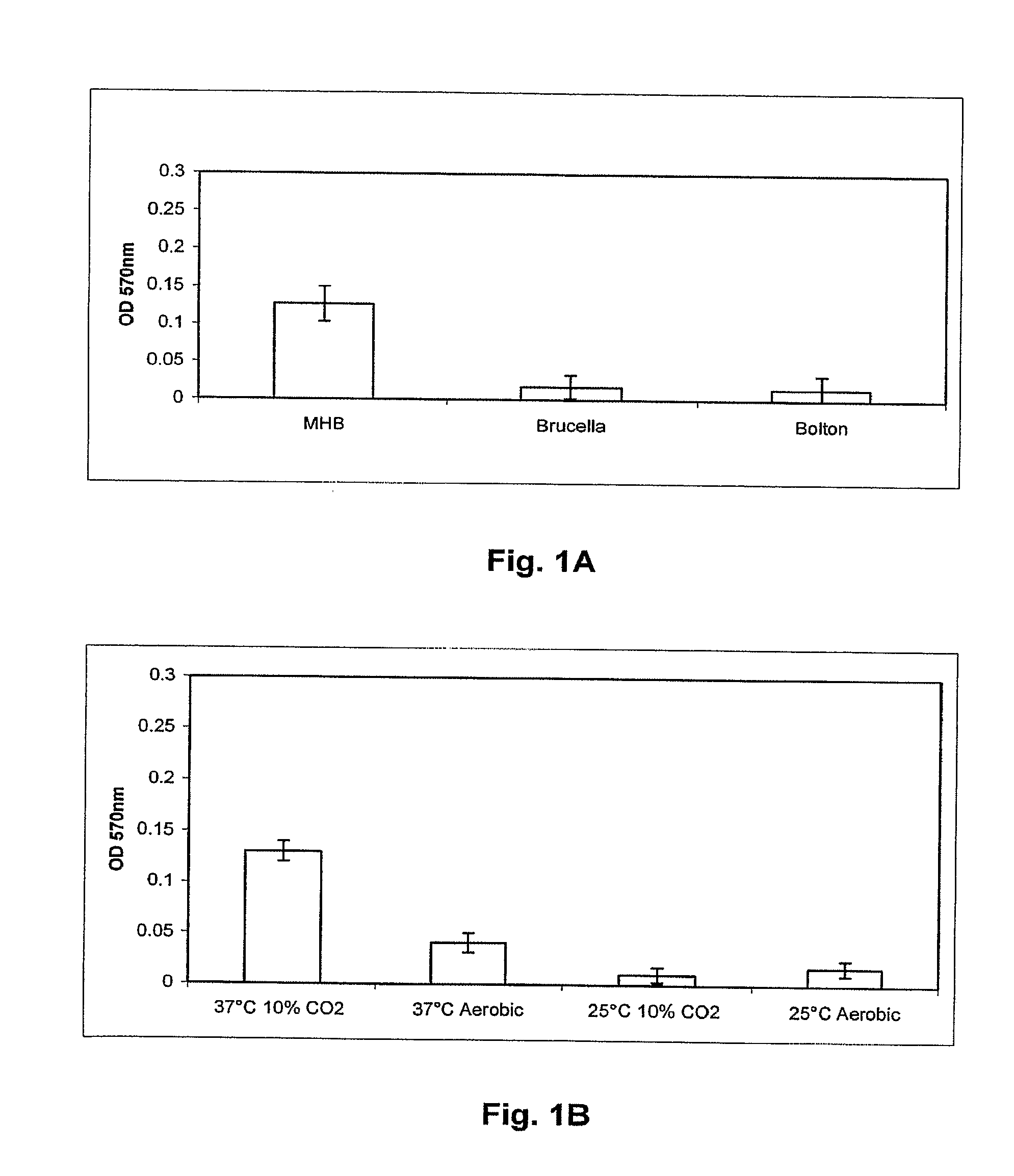 Campylobacter Pilus Protein, Compositions and Methods