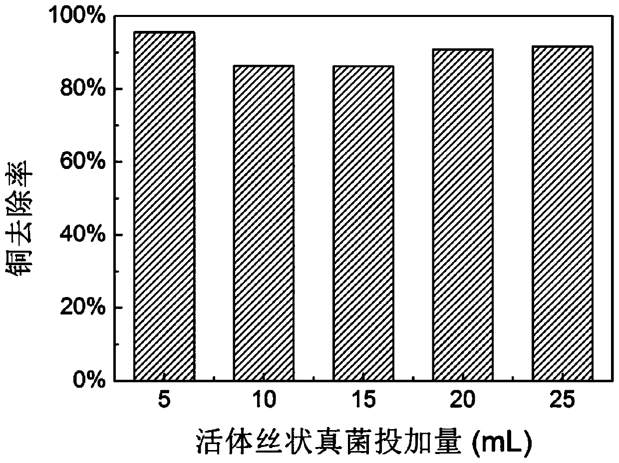 A method for treating copper-containing wastewater by using microbial precipitation to form granular sludge