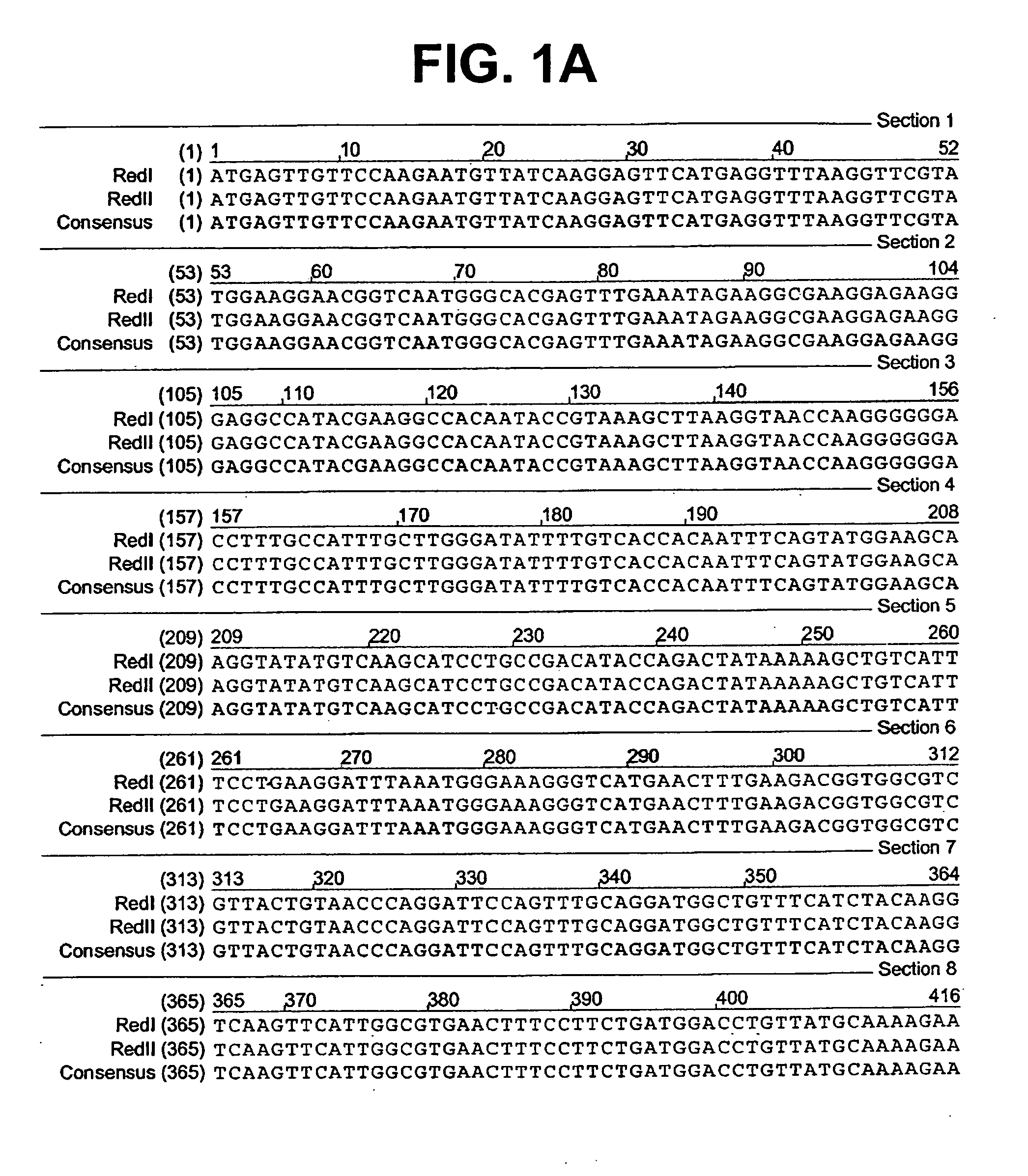 Fluorescent proteins from aquatic species