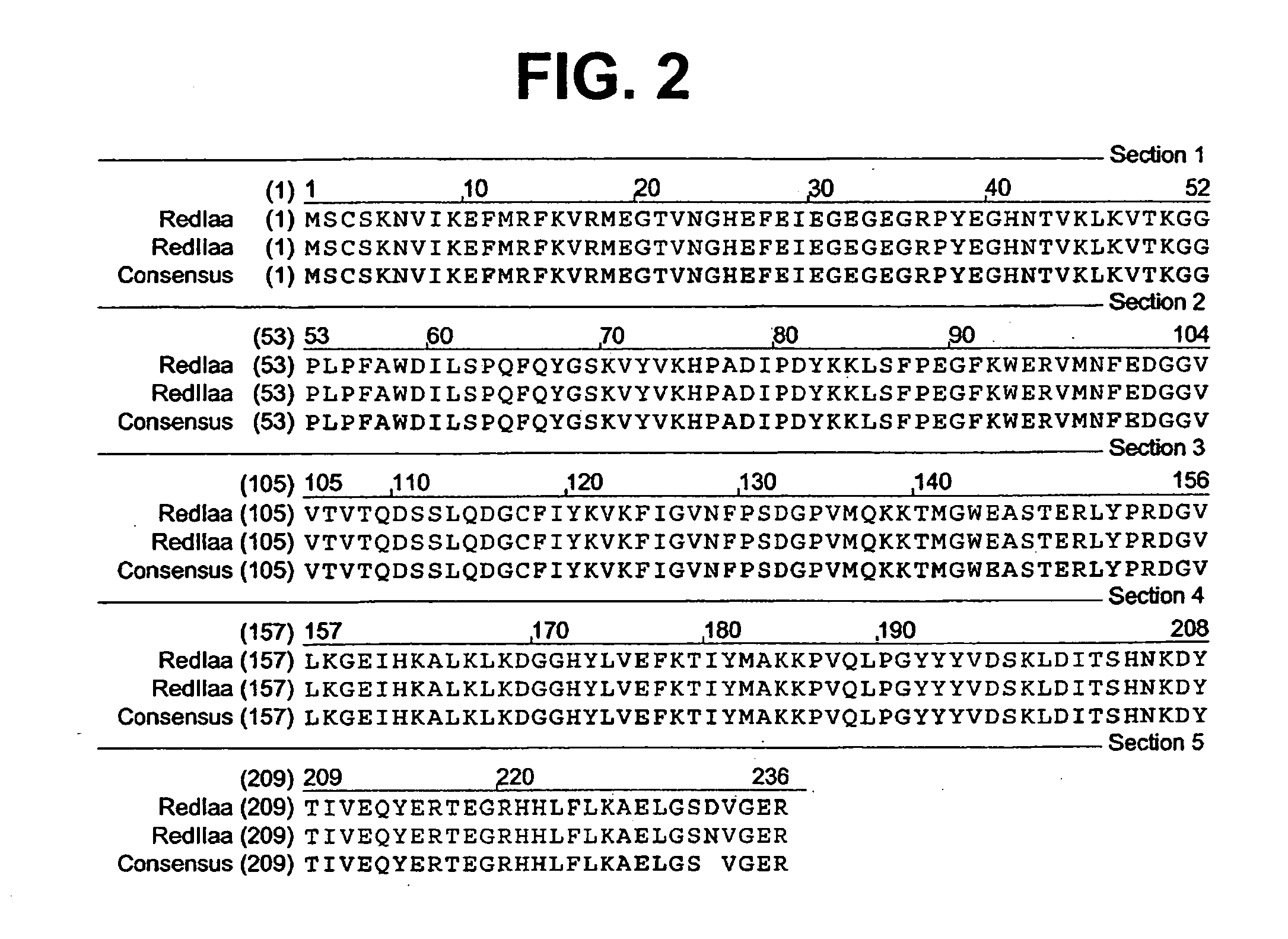 Fluorescent proteins from aquatic species