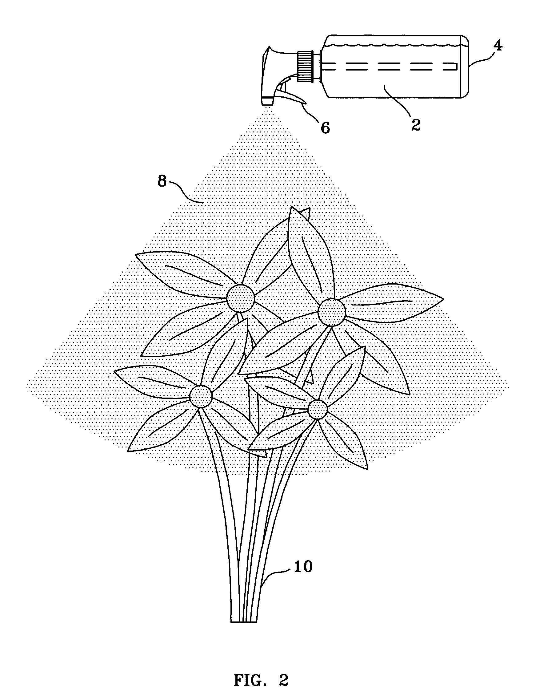 Floral preservative and method of use