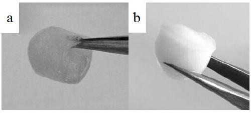 A kind of preparation method of nanocellulose/polymer composite aerogel