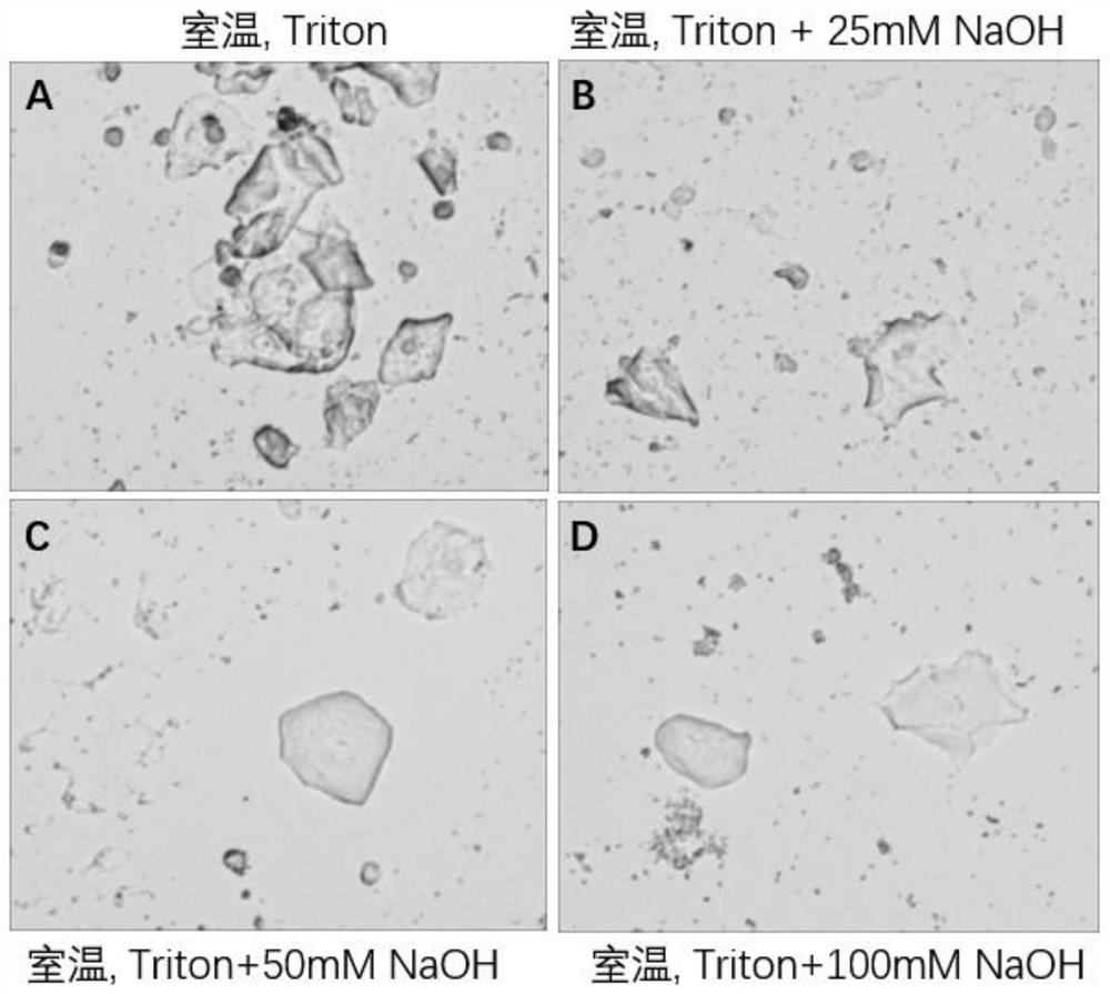 Pretreatment solution, kit and pretreatment method for fluorescence in situ hybridization of cell samples