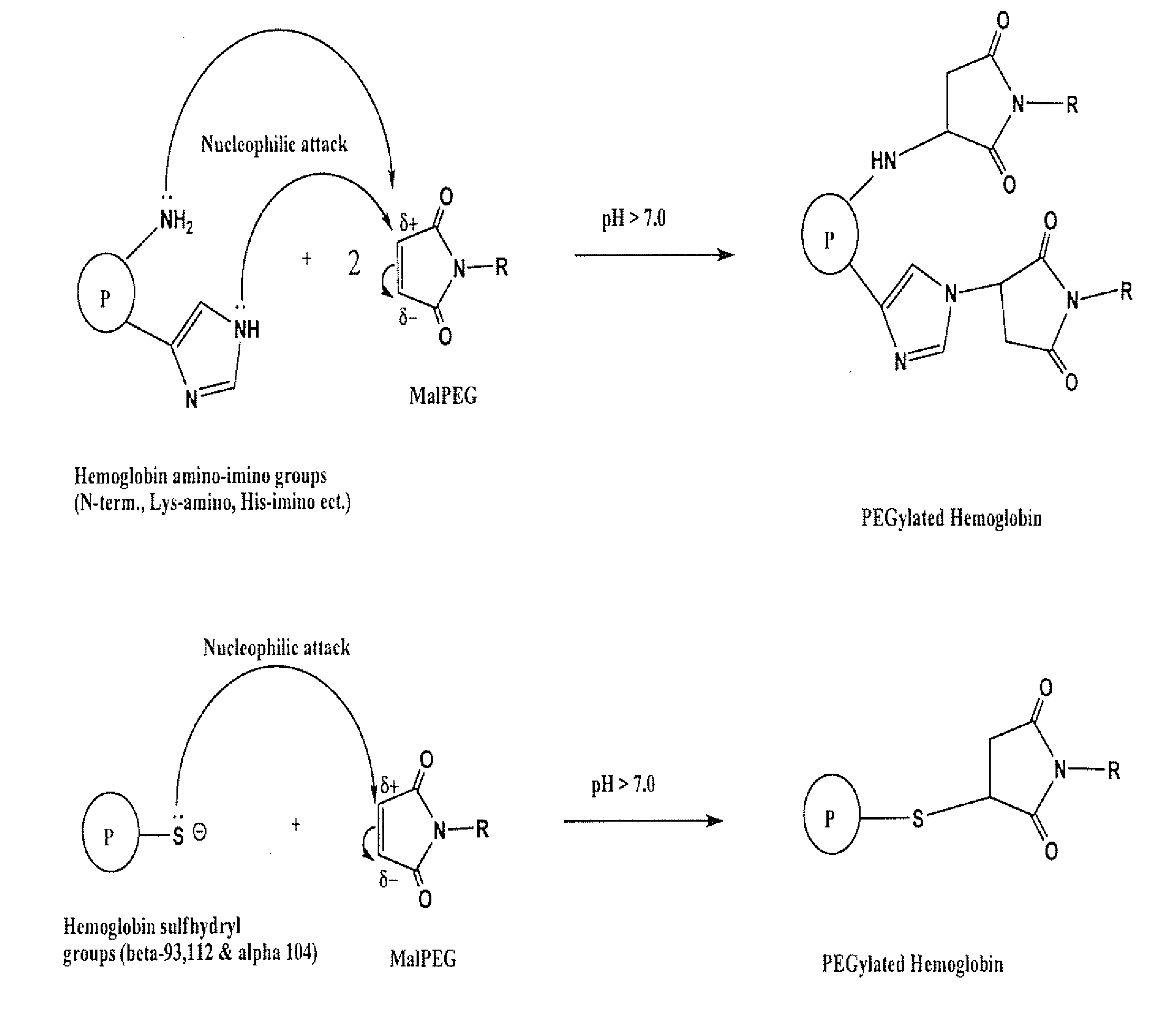 Method for making polyalkylene oxide modified hemoglobin