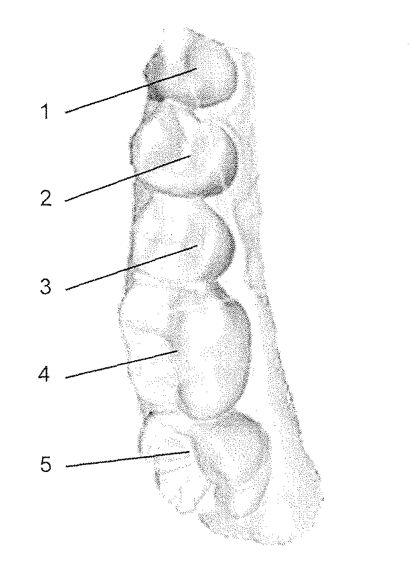 Method for continuation of image capture for acquiring three-dimensional geometries of objects
