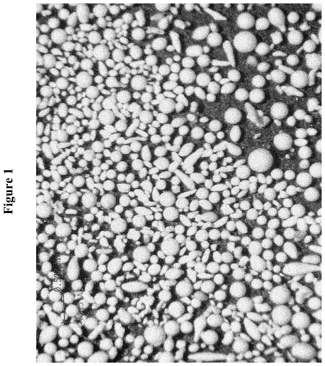 Method for making agglomerate particles