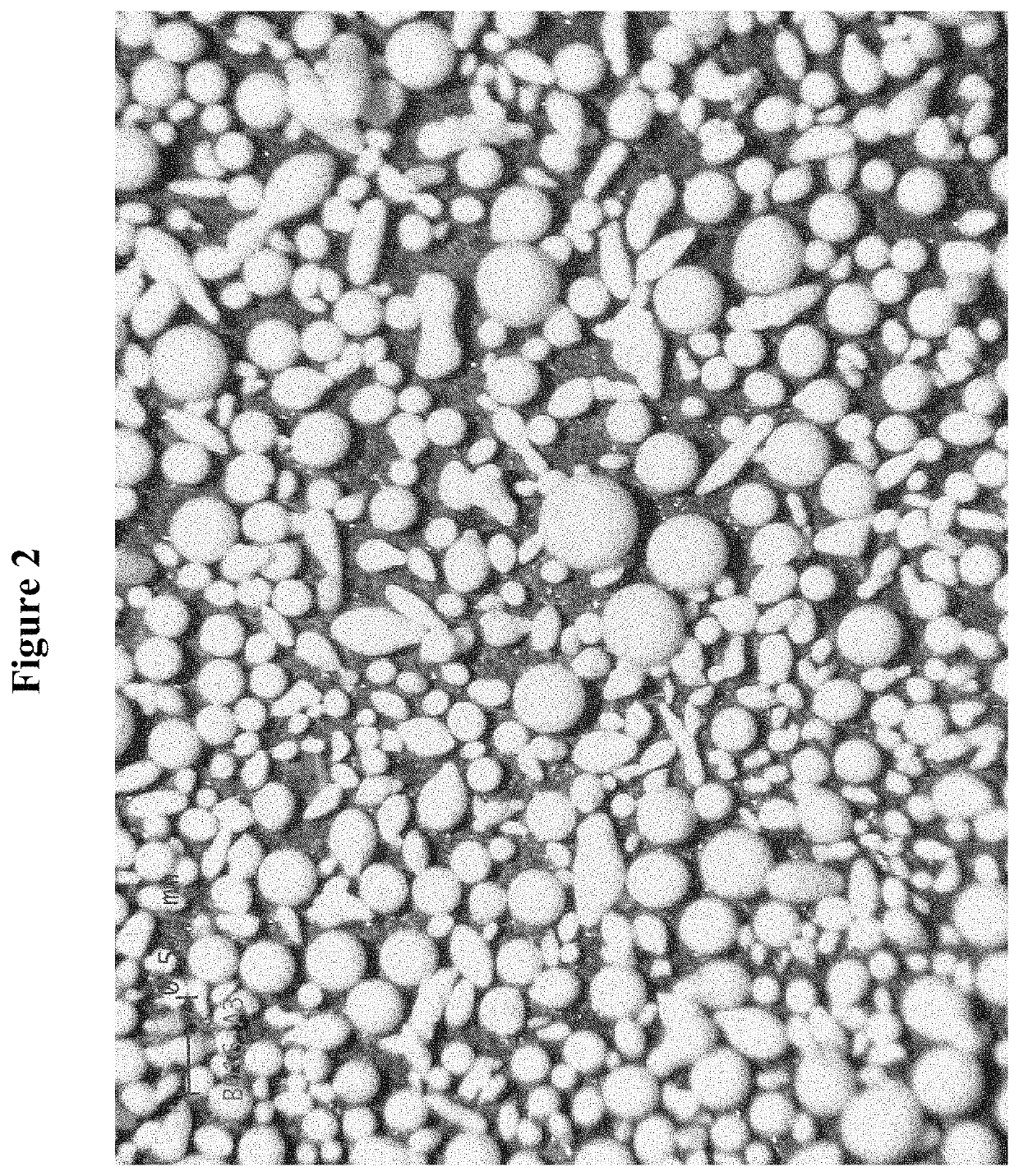 Method for making agglomerate particles