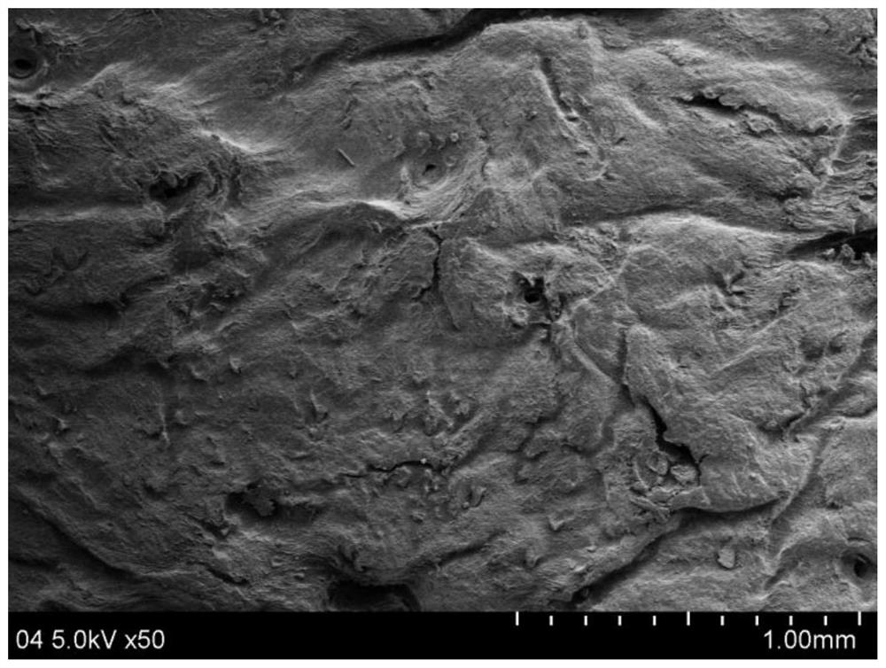 A kind of decellularized dermal matrix tissue engineering scaffold and preparation method thereof