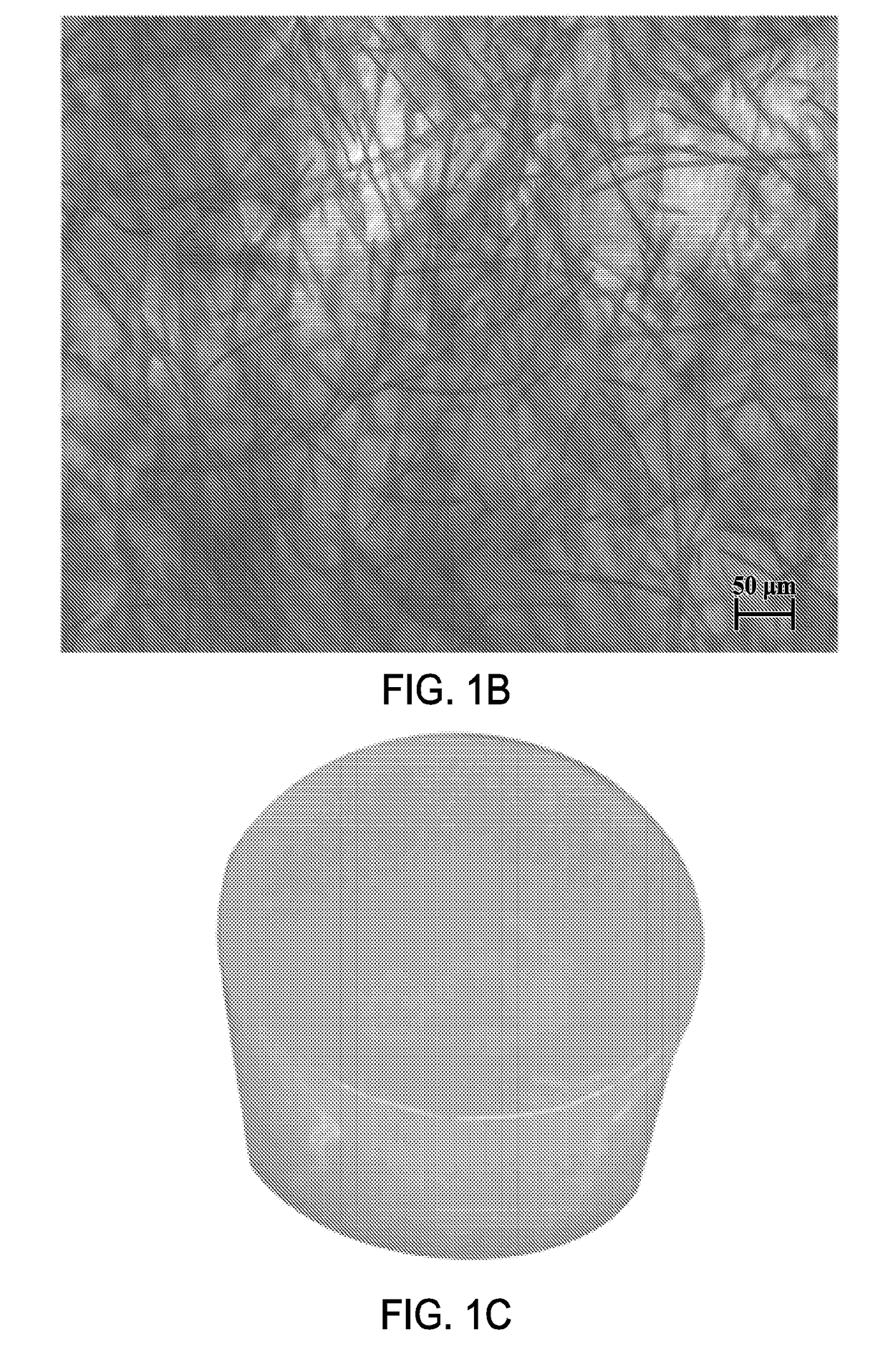 Fiber-hydrogel composite surgical meshes for tissue repair