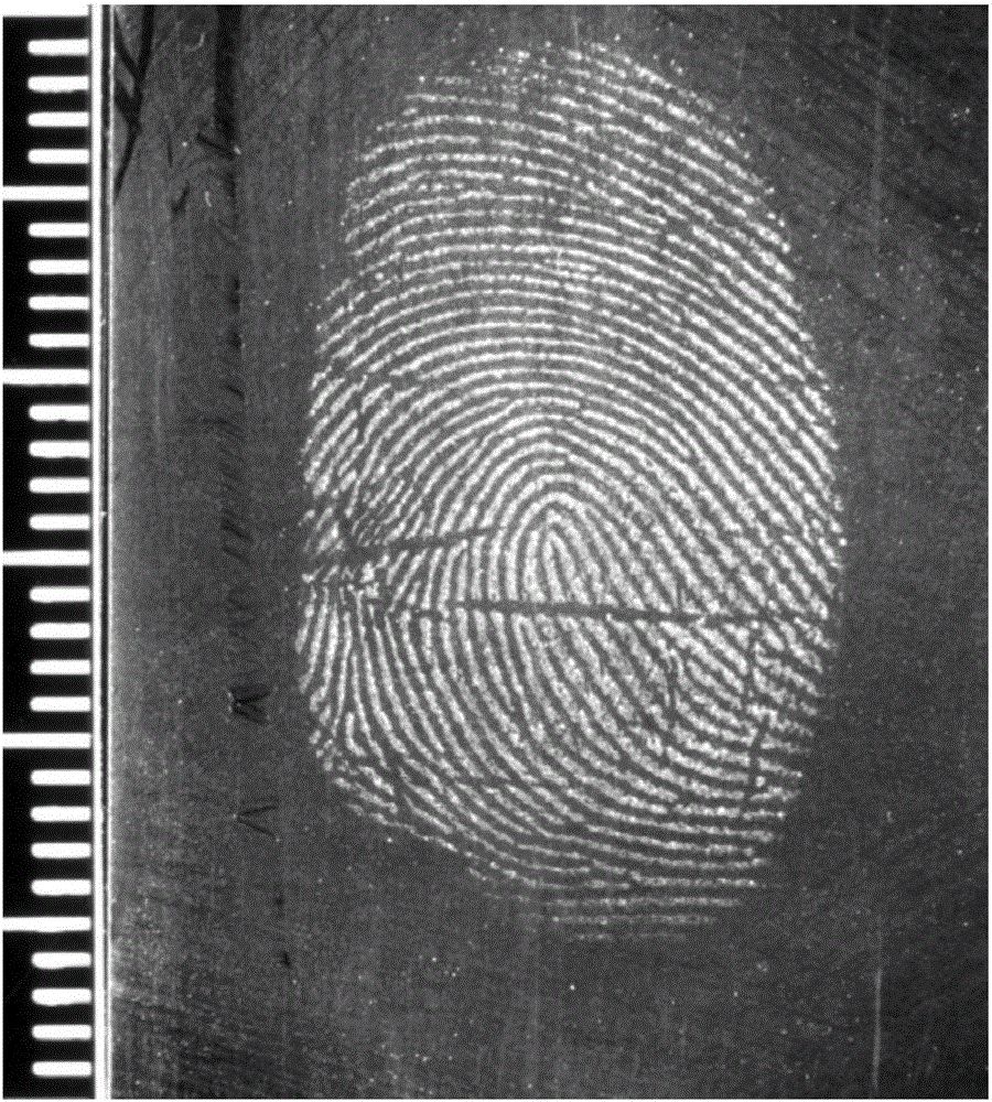 Magnetic fingerprint revealing powder and preparation method and application thereof