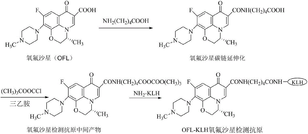 Ofloxacin-hemocyanin coating antigen and preparation method thereof and detection test card