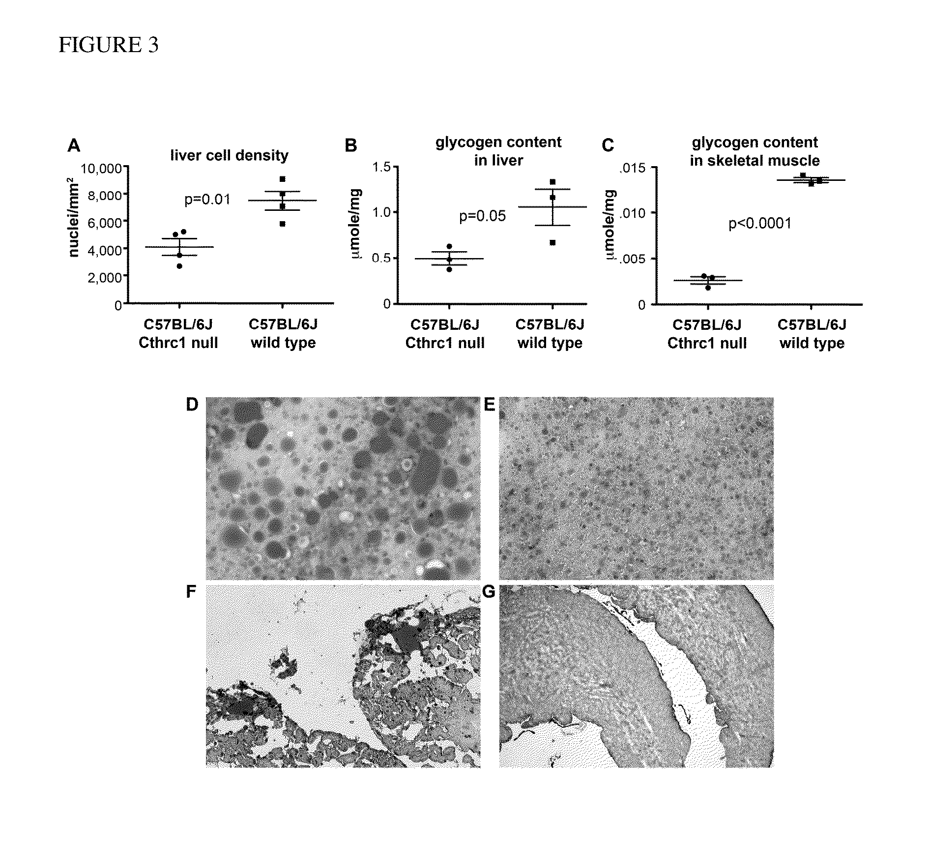 Compositions and methods for regulating metabolism