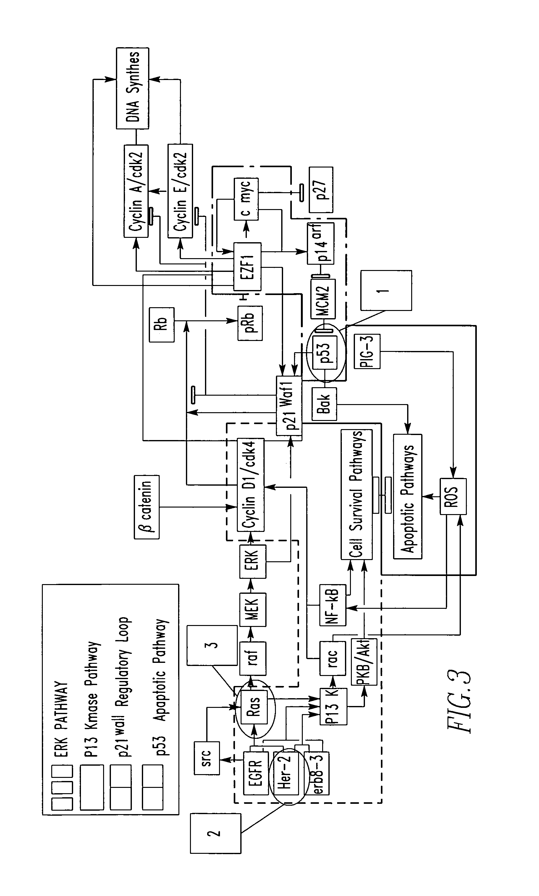 Method for prognostic factor analysis regarding cancers