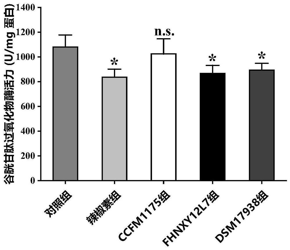 Lactobacillus reuteri for relieving gastrointestinal injury caused by capsaicin and application thereof