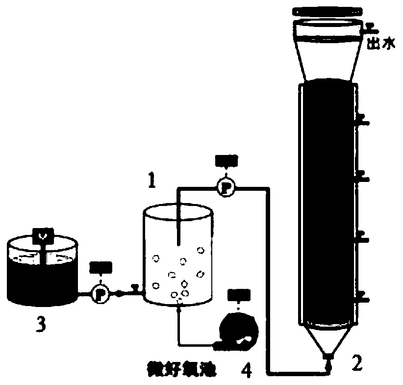 Anaerobic ammonia oxidation-couped denitrification composite denitrification system and quick starting method