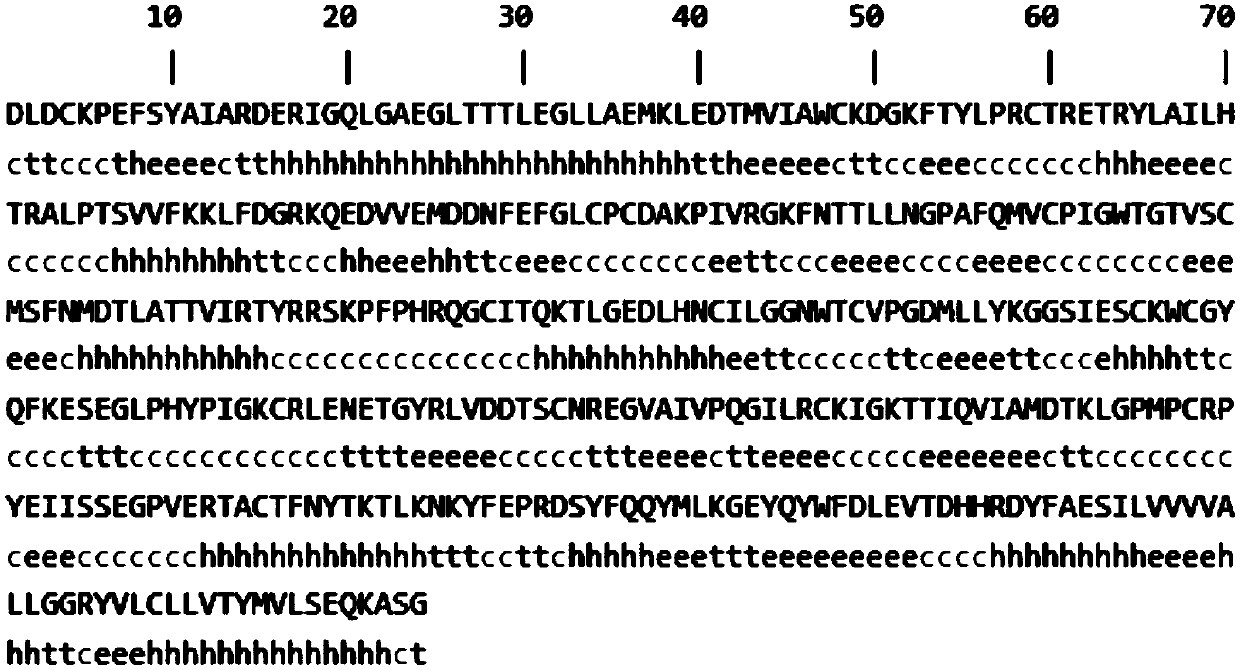 Expression protein for detecting bovine viral diarrhea virus antibody, ELISA kit and preparation method and application thereof