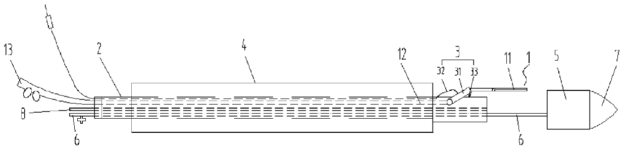 Endovascular biopsy device and biopsy system