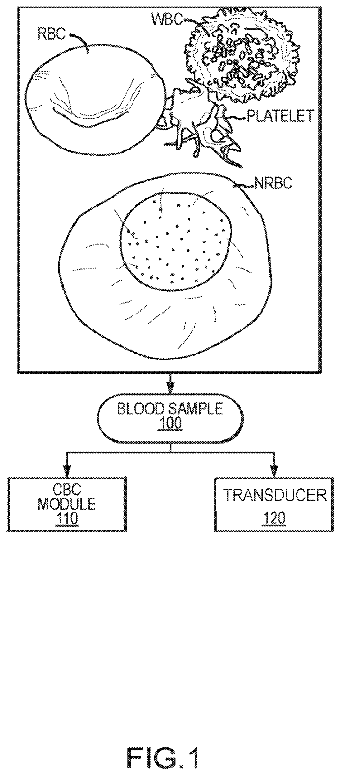 Infection detection and differentiation systems and methods