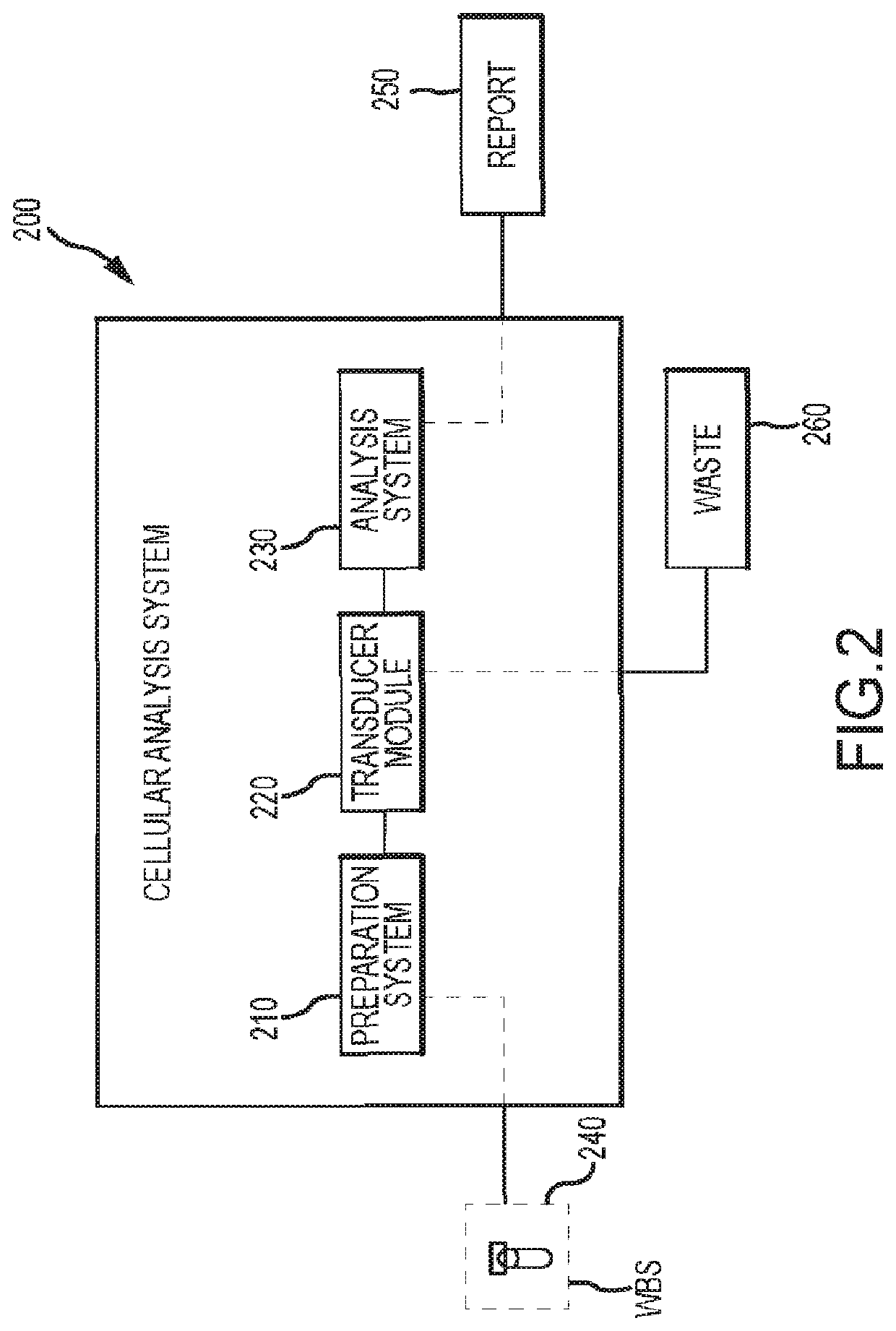 Infection detection and differentiation systems and methods