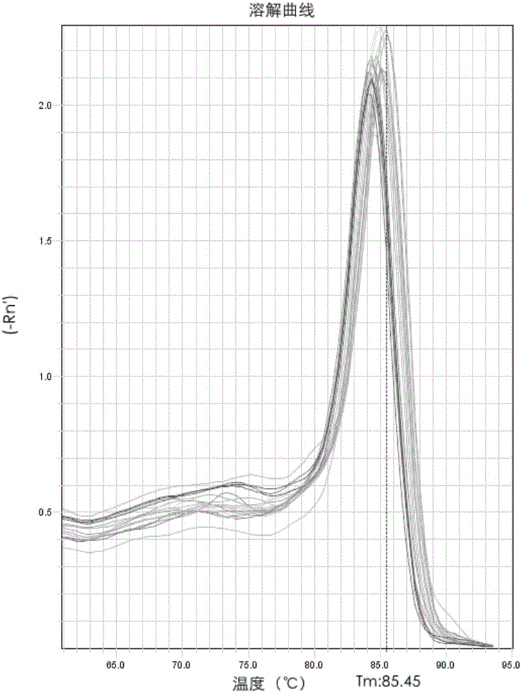 Novel application of transcription factor FOXD1