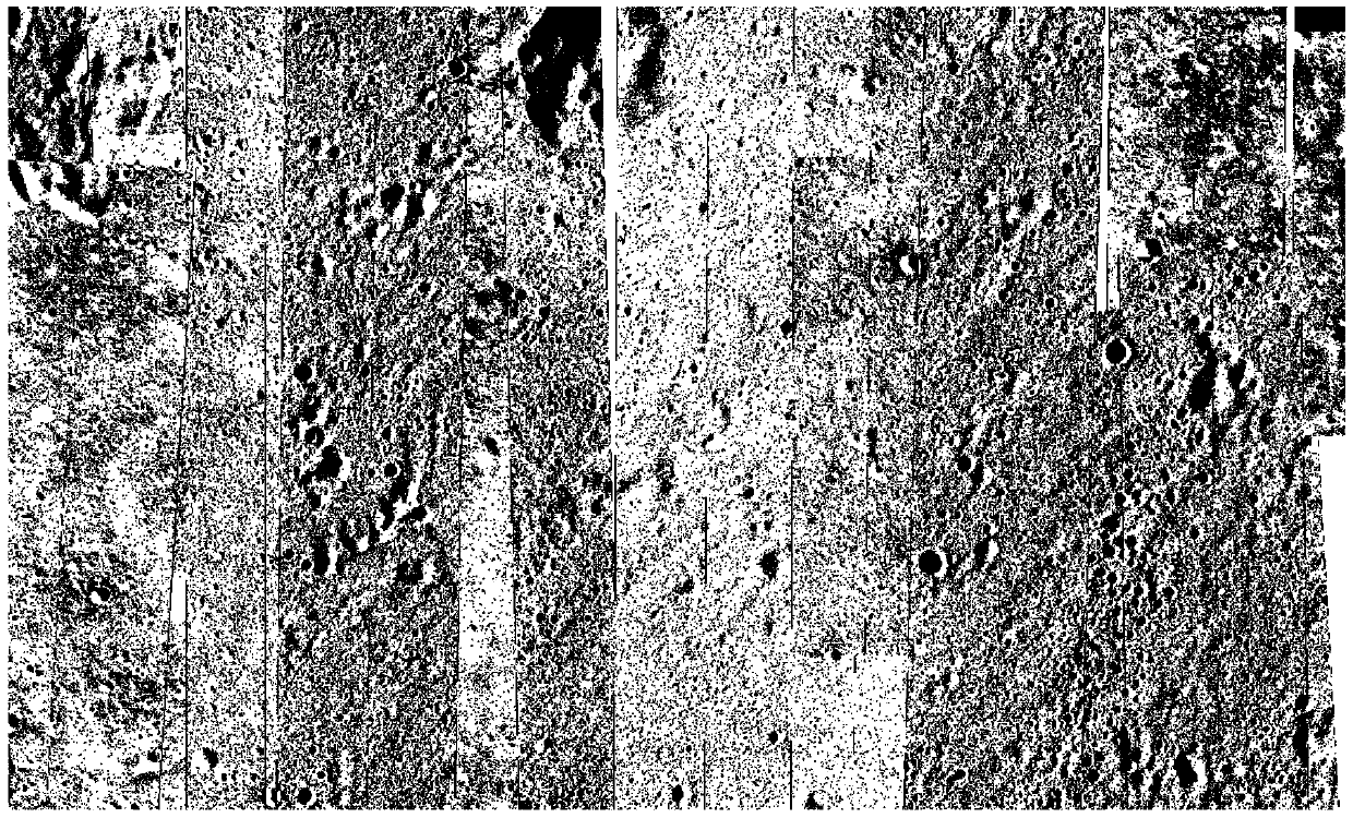 A lunar surface safe landing area selection method and system
