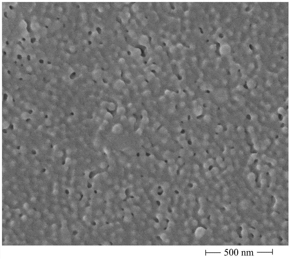 Nano-particle containing docetaxel and vitamin E TPGS (d-alpha tocopheryl polyethylene glycol 1000 succinate) and preparation method thereof