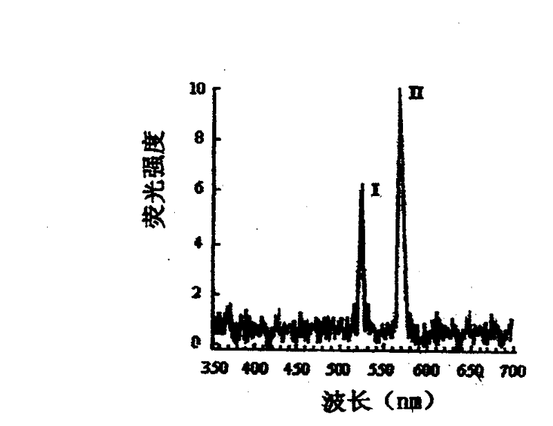 System and method for quantitative detection of test strips on basis of continuous fluorescent-substance markers