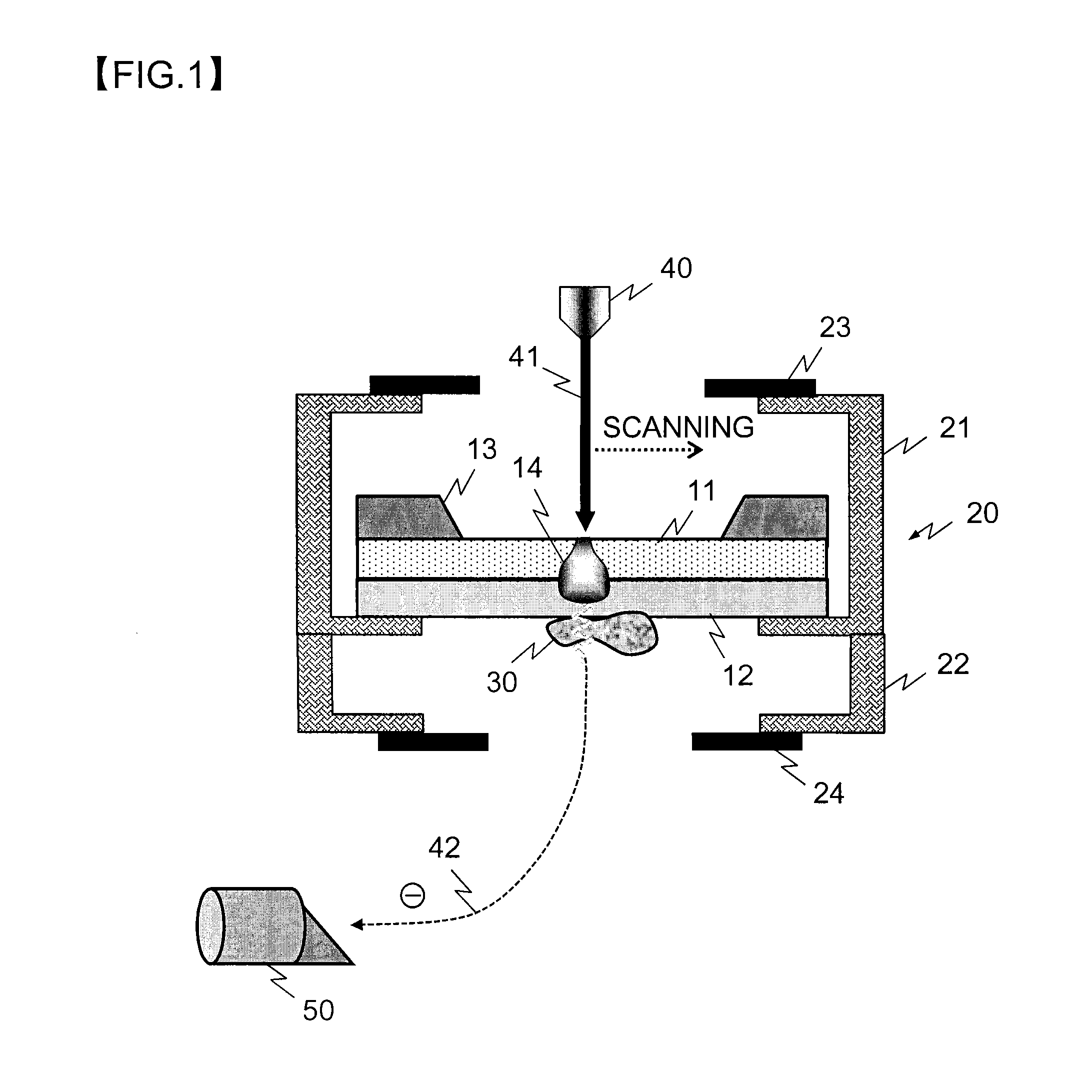 Sample supporting member for observing scanning electron microscopic image and method for observing scanning electron microscopic image