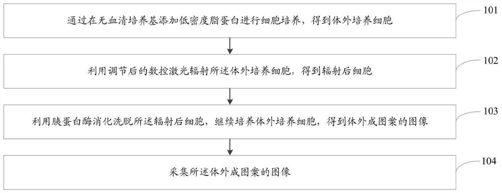 Non-invasive cell patterning method and system based on numerical control laser radiation