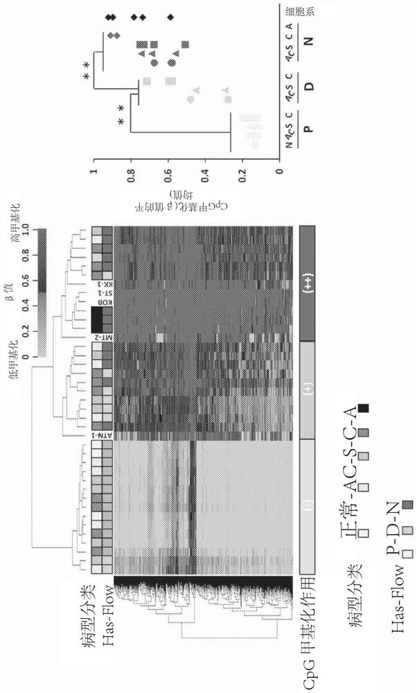 Adult t-cell leukemia-lymphoma detection method