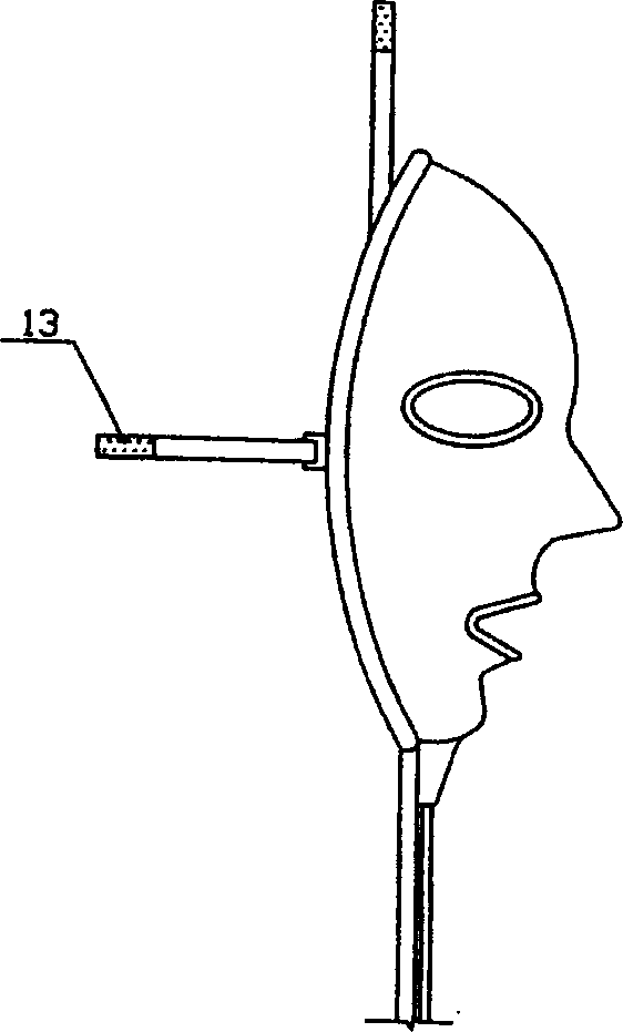 Apparatus for beautifying and sauna bathing facial portion of human body