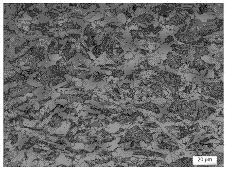 Hot rolling steel plate with characteristic of multiple grades in one steel, and manufacturing method thereof