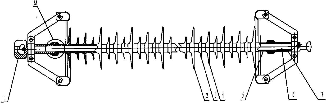 Composite insulator by injection molding once