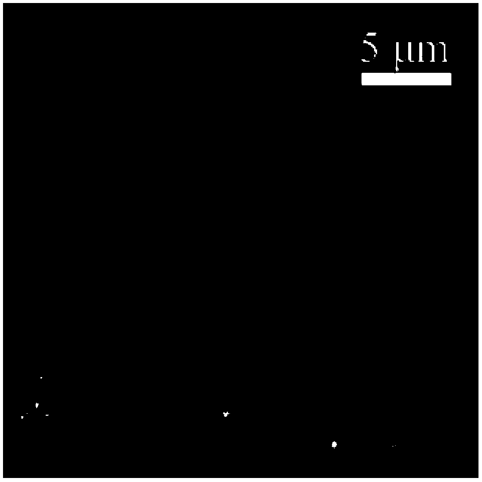 HMBG (High Mobility Group Box) 1 modified bone tissue engineering bracket material and preparation method thereof