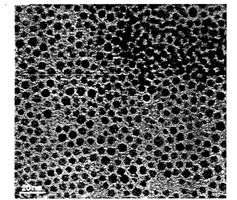 Magnetic tumour target polymer nano vesicle and preparation method thereof
