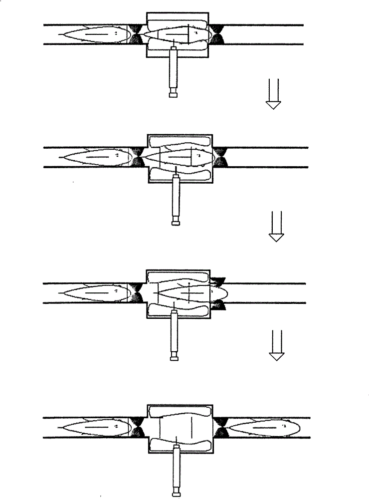 Device for injecting live fish