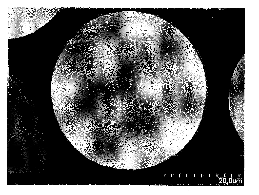 Magnetic carrier for electrophotographic developer and process for producing the same, and two-component system developer