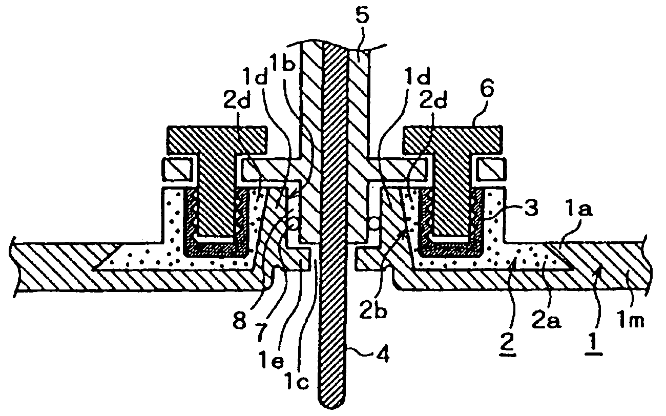 Shielding structure of a through-hole formed in a wall of a plastic hollow product