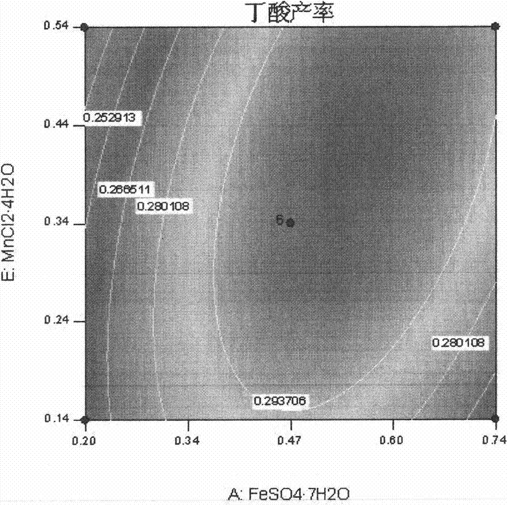 Production method for butyric acid through anaerobic fermentation of excess sludge