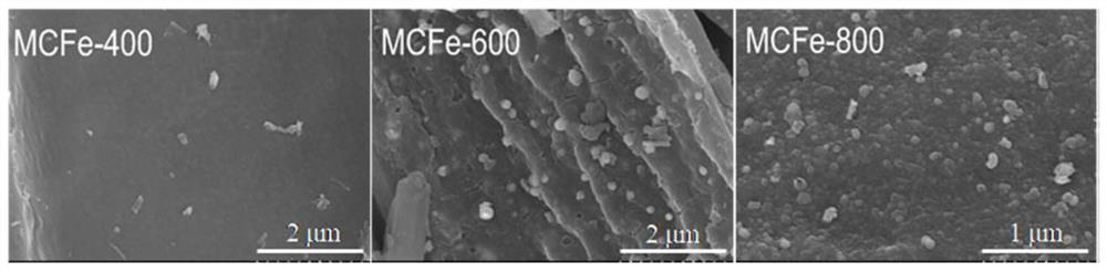 A kind of magnetic porous carbon material and its preparation method and application