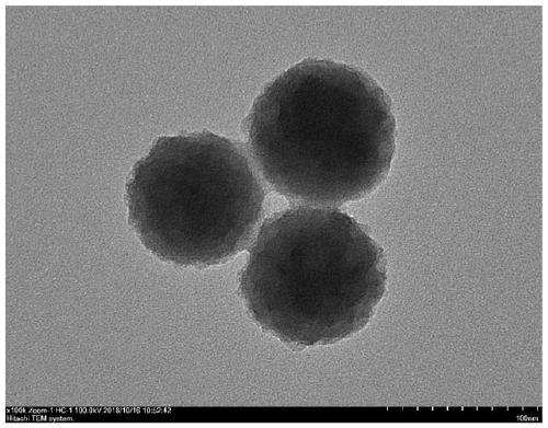 Preparation method of antigen determinant/DOX double-template molecularly imprinted fluorescent nanoparticles with alpha-helix structure