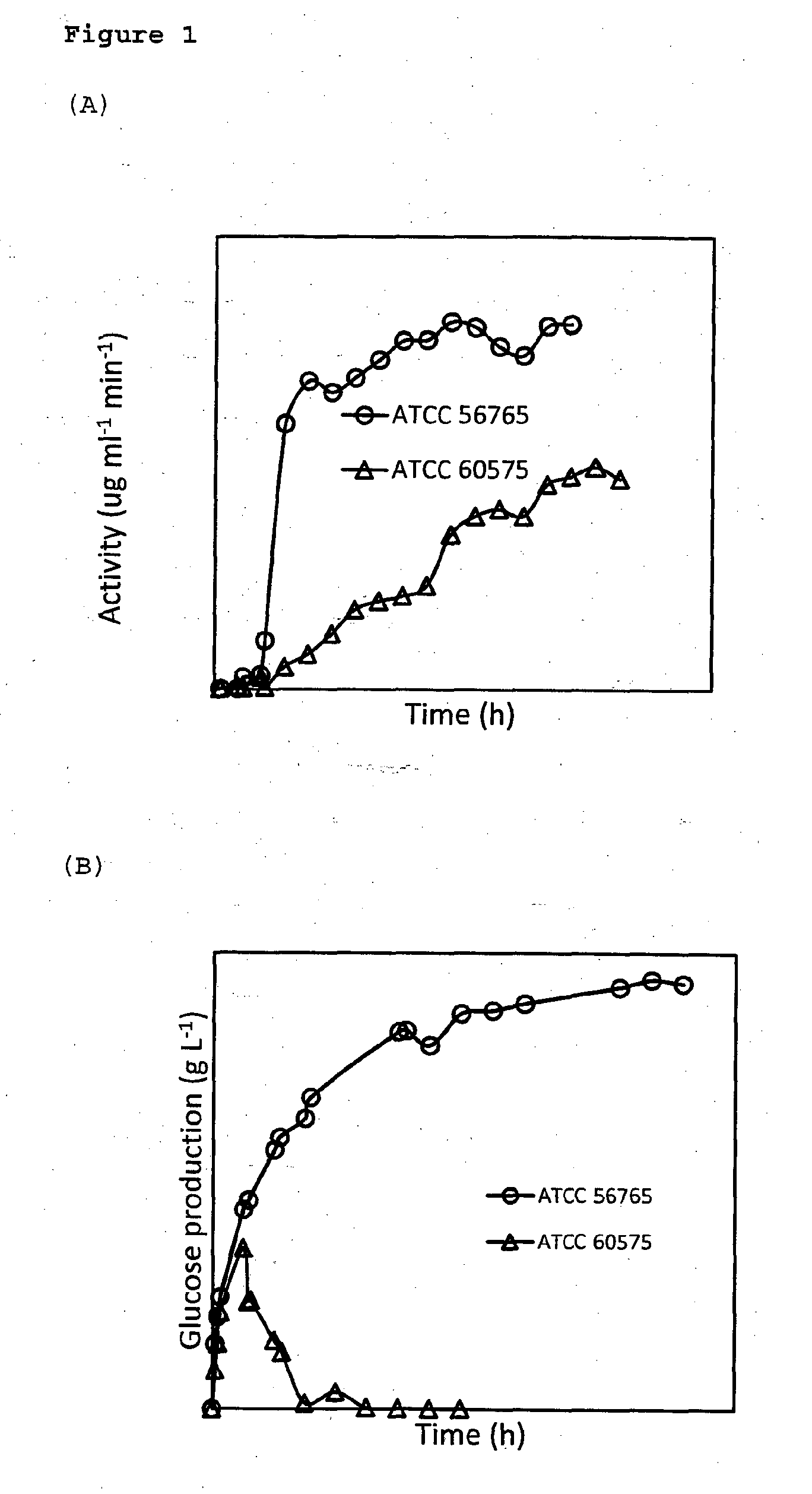 Method for enzymatic hydrolysis of cellulose