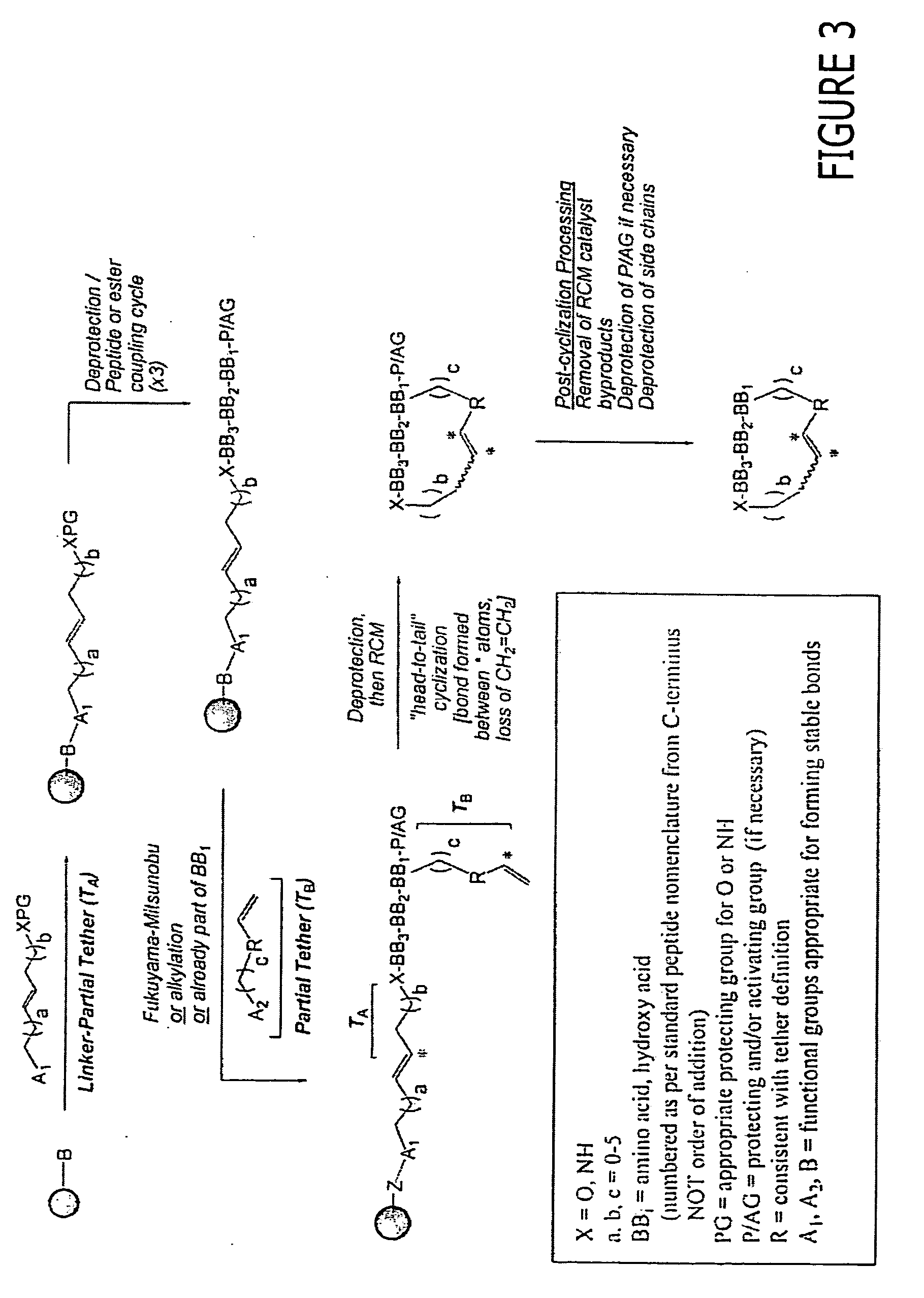 Macrocyclic modulators of the ghrelin receptor